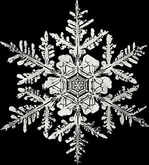 Snowflake