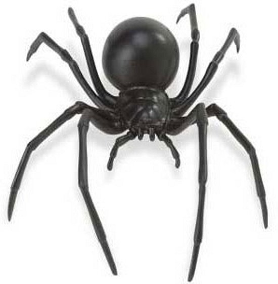 Black Spider