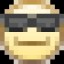oculus amet
